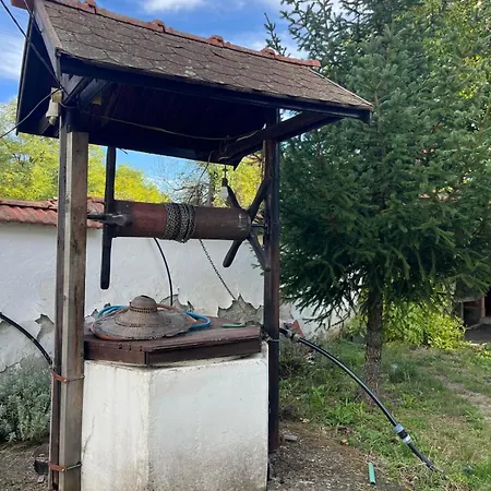 батжоро * Zelenikovo