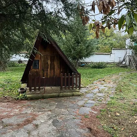 батжоро * Zelenikovo